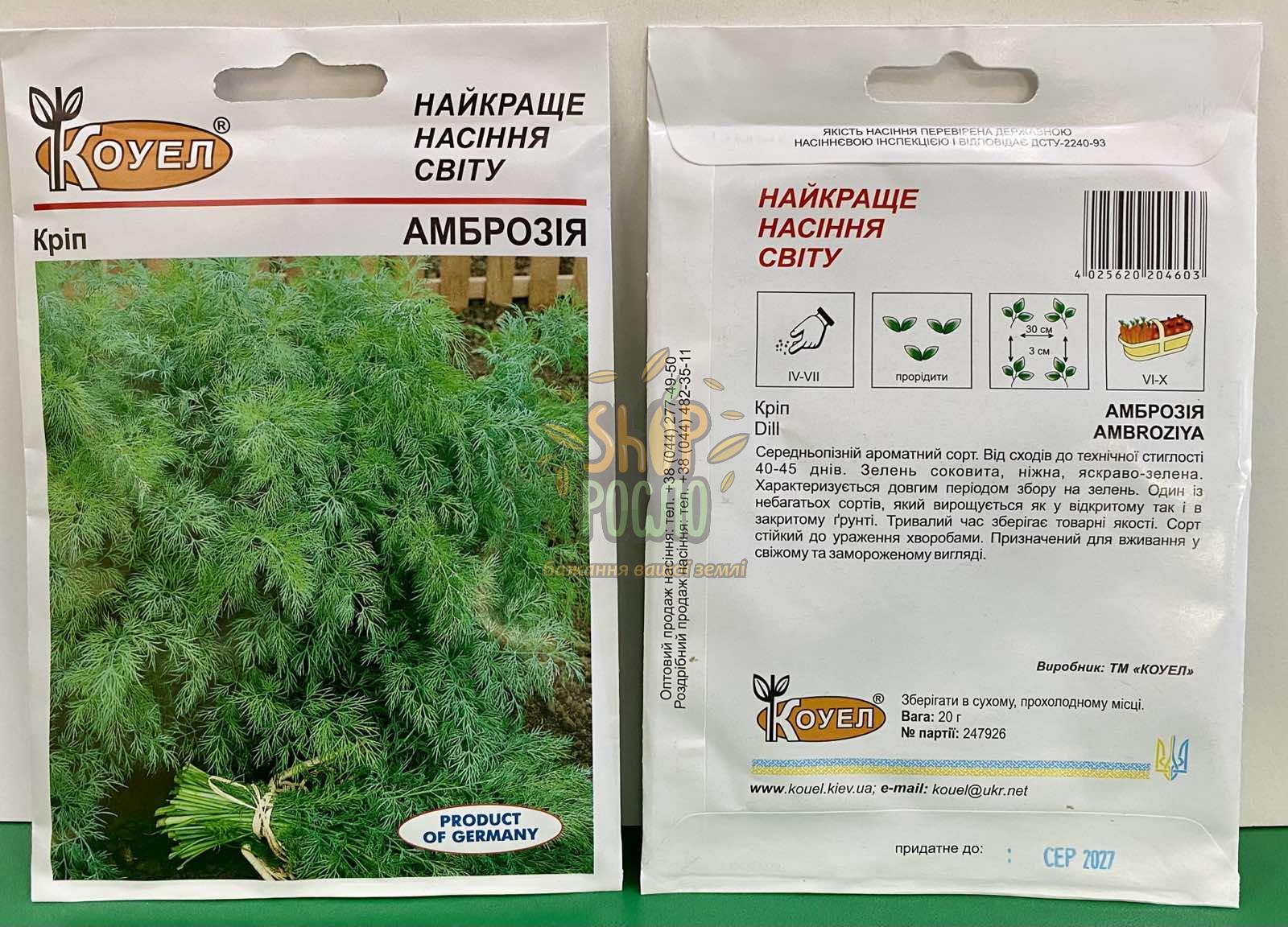 Насіння кропу Амброзія "Коуел" (Німеччина), 20 г