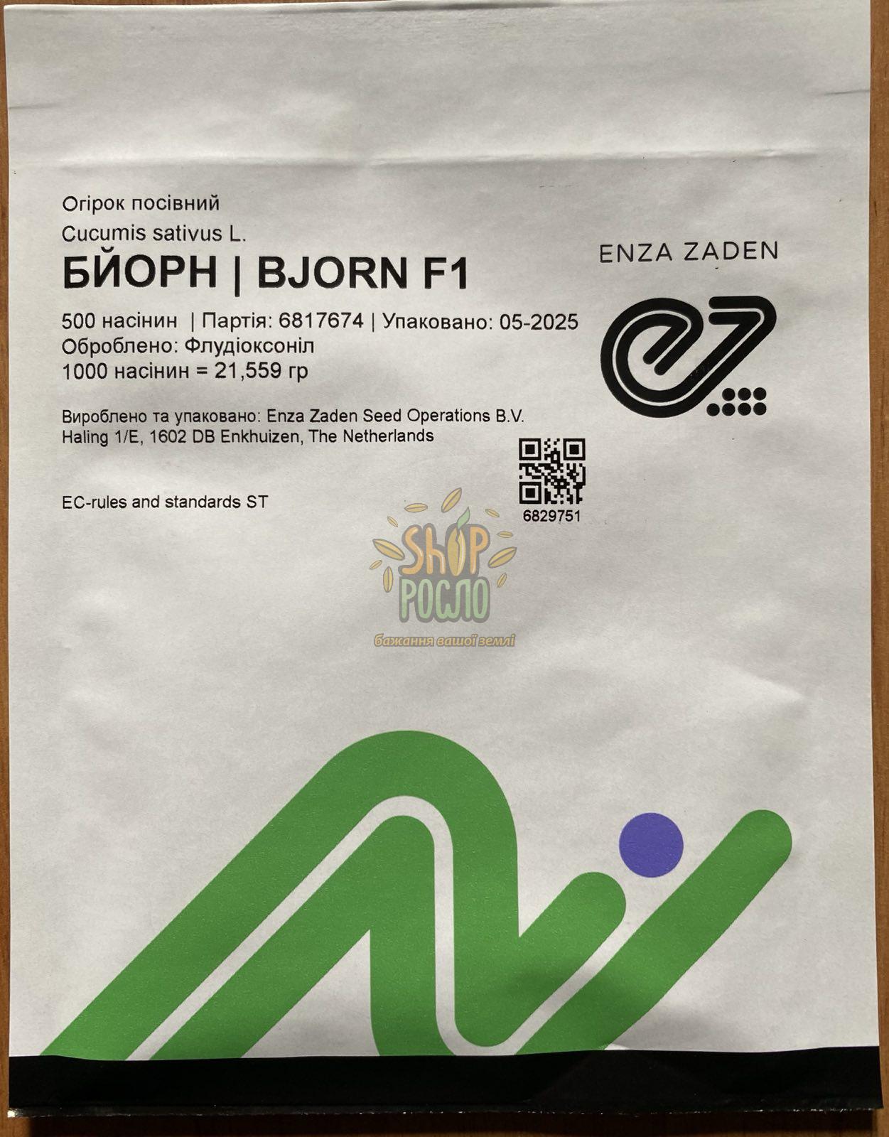 Насіння огірка Бйорн F1, ранній партенокарпічний гібрид,"Enza Zaden" (Голландія), 500 шт
