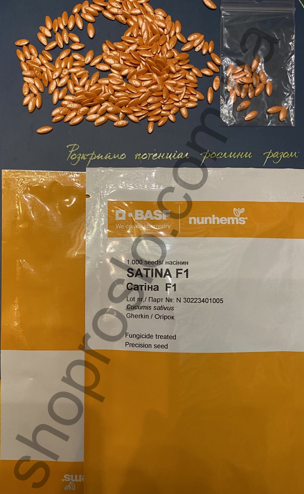Семена огурца Сатина F1, партенокарпический, ранний гибрид ,"Nunhems Bayer"  (Голландия), 100 шт (Фас)