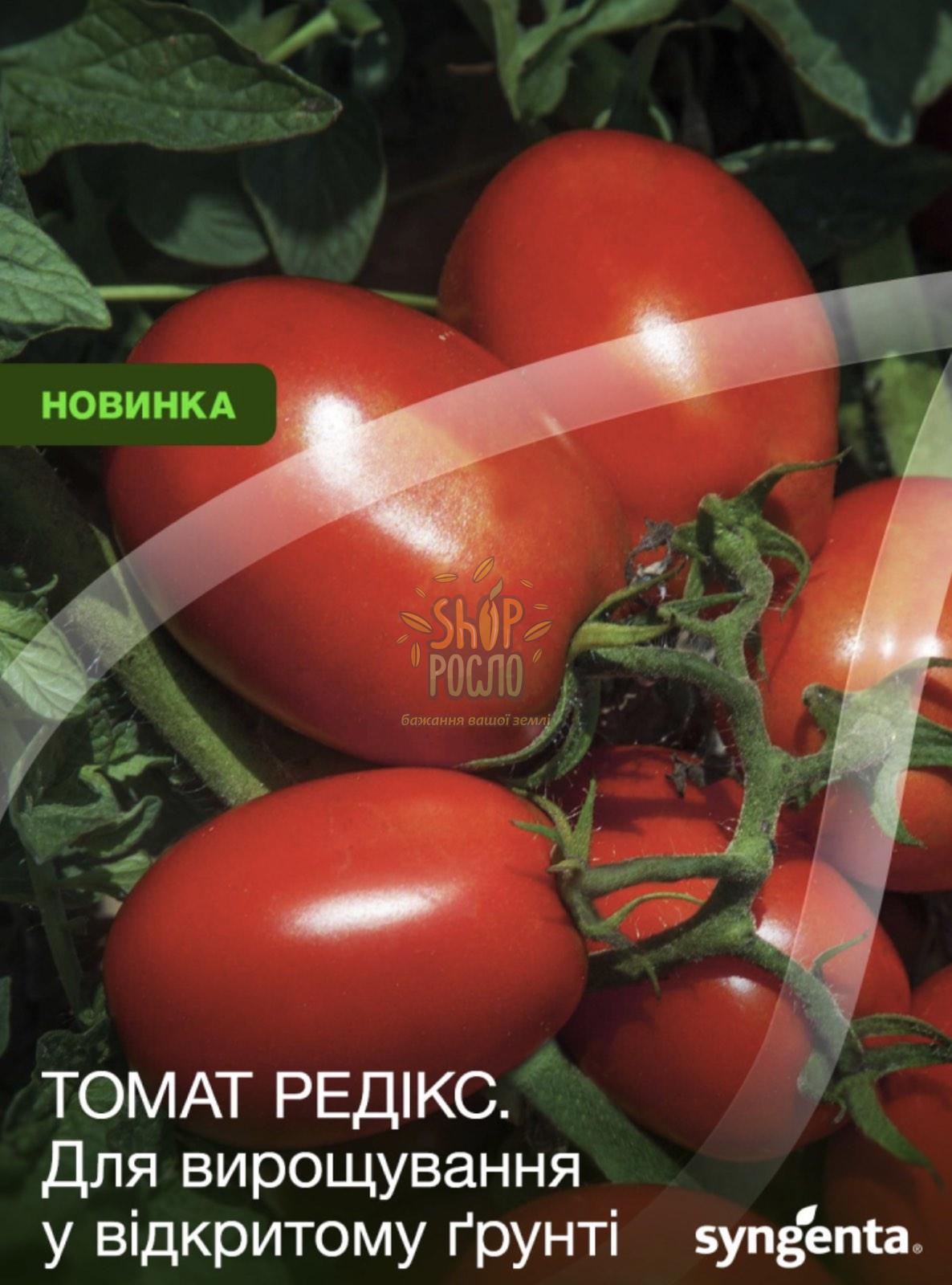 Семена томата Редикс F1, кустовой ранний гибрид, Syngenta (Швейцария), 2 500 шт