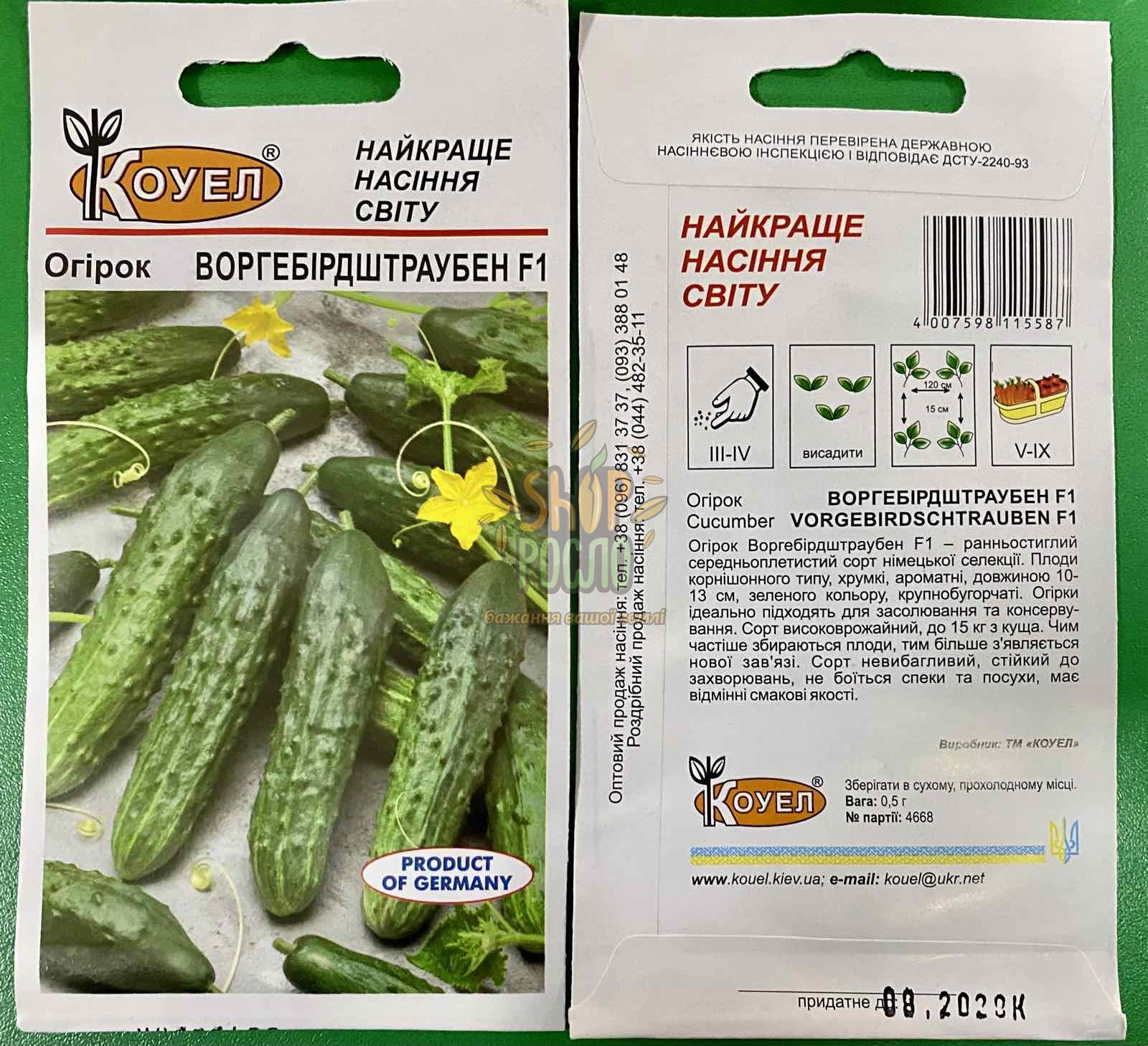 Насіння огірка Воргебірдштраубен F1, ранній гібрид, партенокарпічний, Коуел (Німеччина), 0,5 г