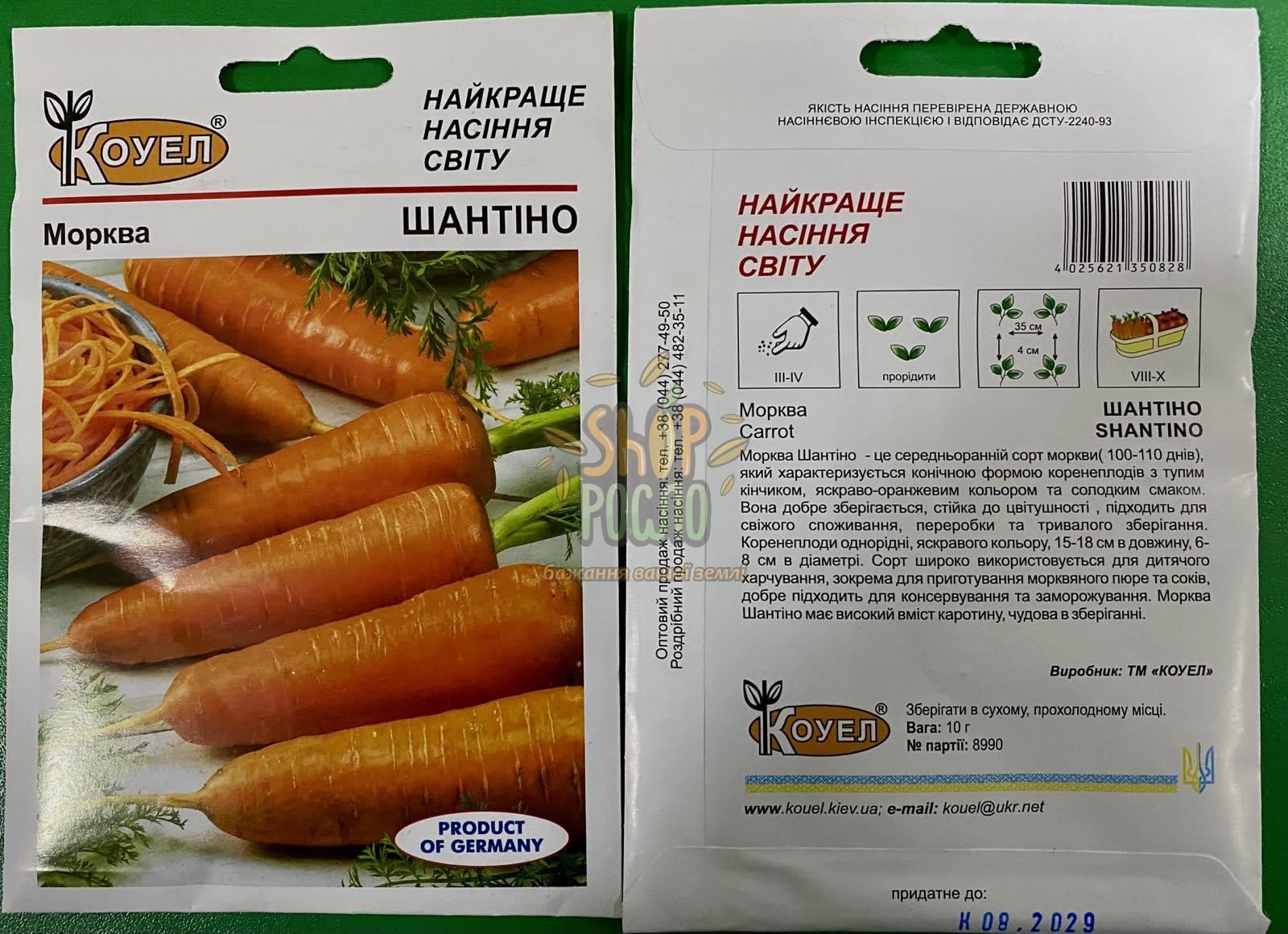 Насіння моркви Шантіно, середньостиглий сорт, Коуел (Німеччина), 10 г