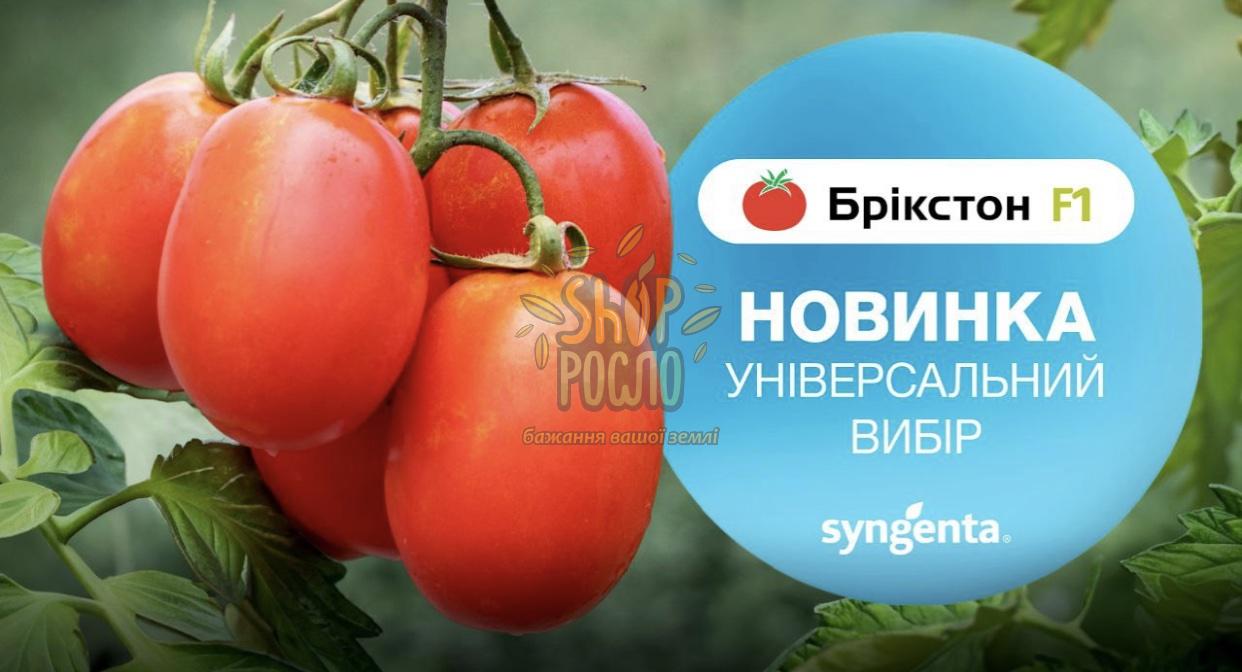 Семена томата Брикстон F1, универсальный гибрид, Syngenta (Швейцария), 2 500 шт