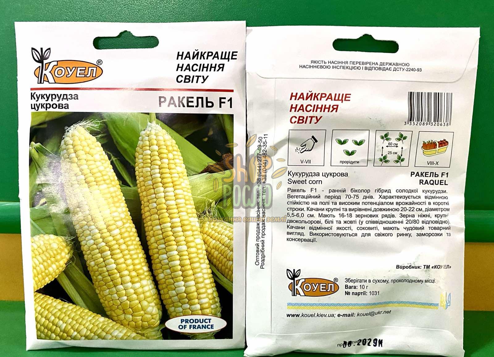 Насіння кукурудзи Ракель F1, ранній гібрид, біколор солодка, Коуел (Італія), 10 г