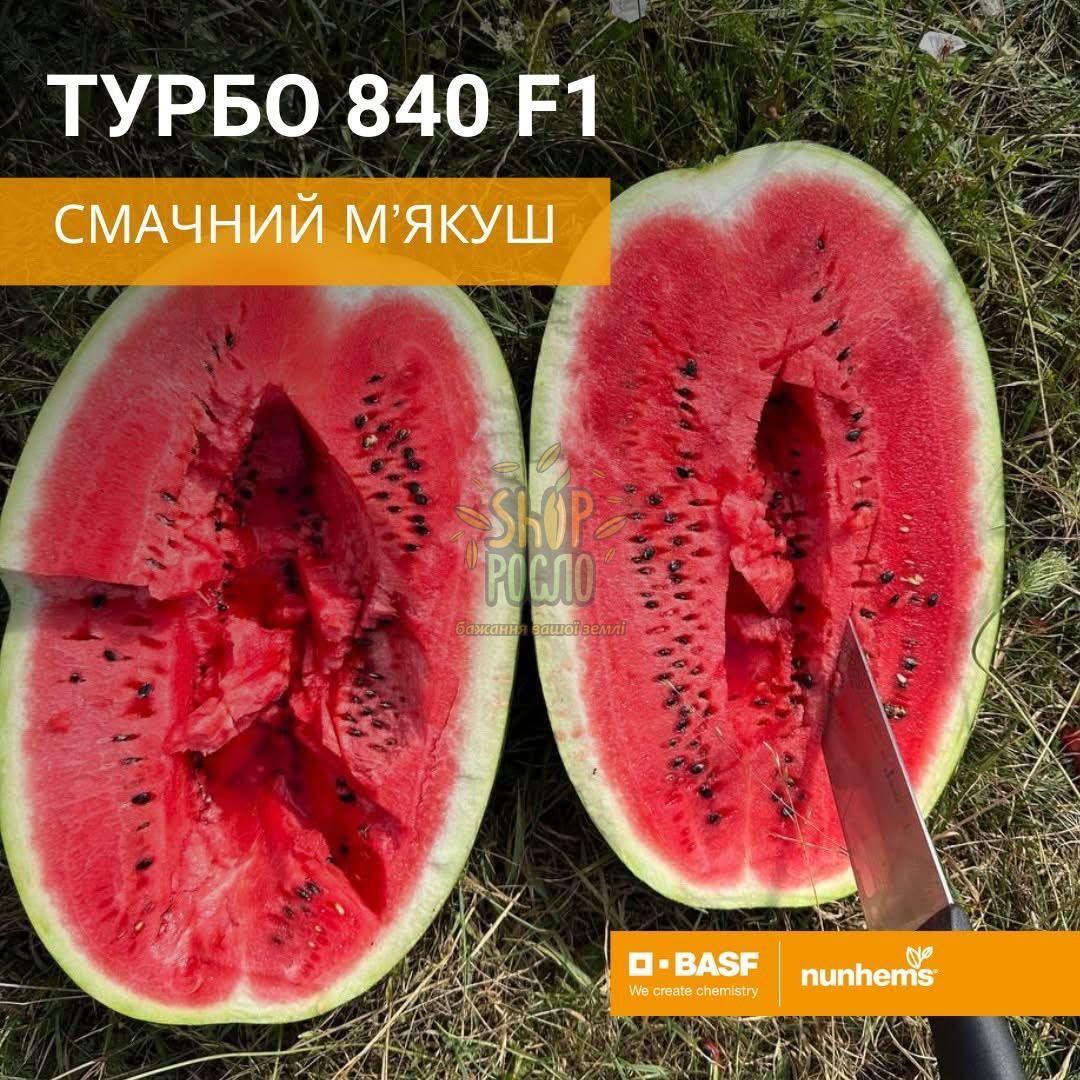 Насіння кавуна Турбо 840  F1, ранній видовжений гібрид, "Nunhem Bayer" (Голандія), 1 000 шт
