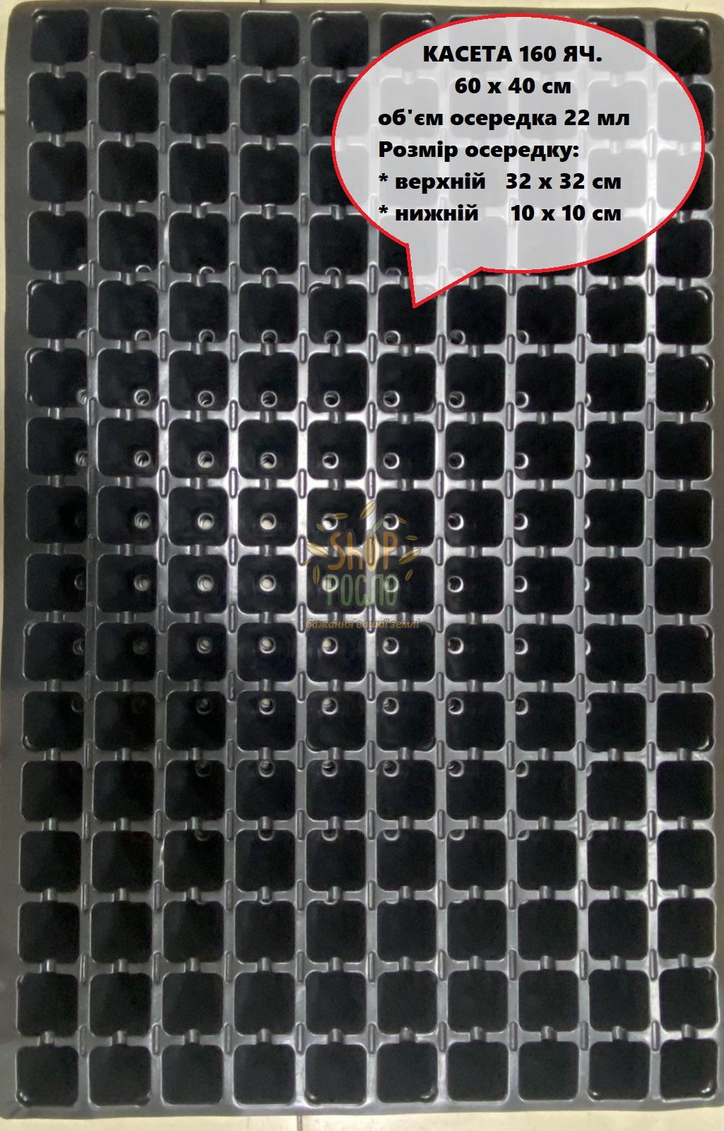 Кассета 160 ячеек, размер 60 х 40 см, КНР