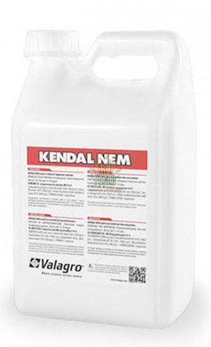 Кендал NEM, стимулятор росту "Valagro" (Італія), 5 л