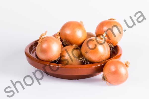 Семена лука репчатого Юниор F1, ранний гибрид, 1 кг, "Allium" (Италия), 1 кг