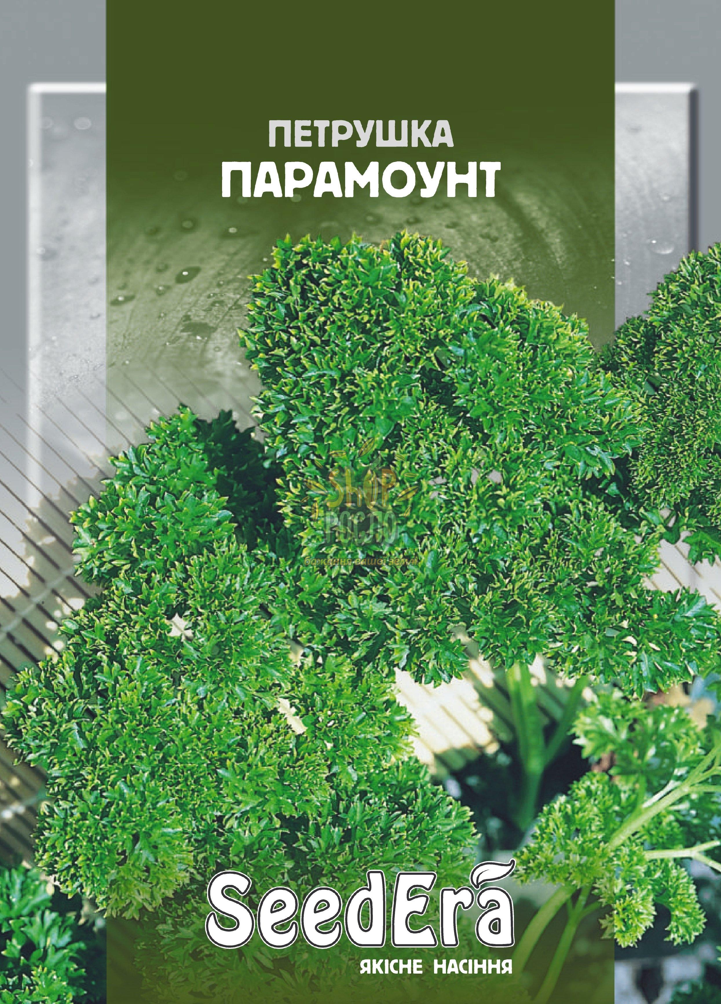 Петрушка Парамоунт, рання кучерява, 2 г, ТОВ "Сімейний сад" (Україна), 2 г