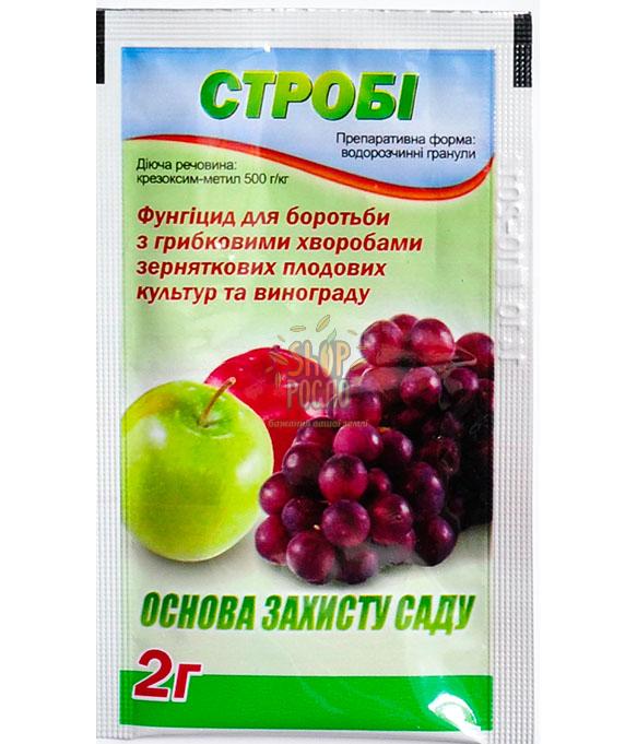 Фунгіцид Стробі, "BASF" (Німеччина), 200 г