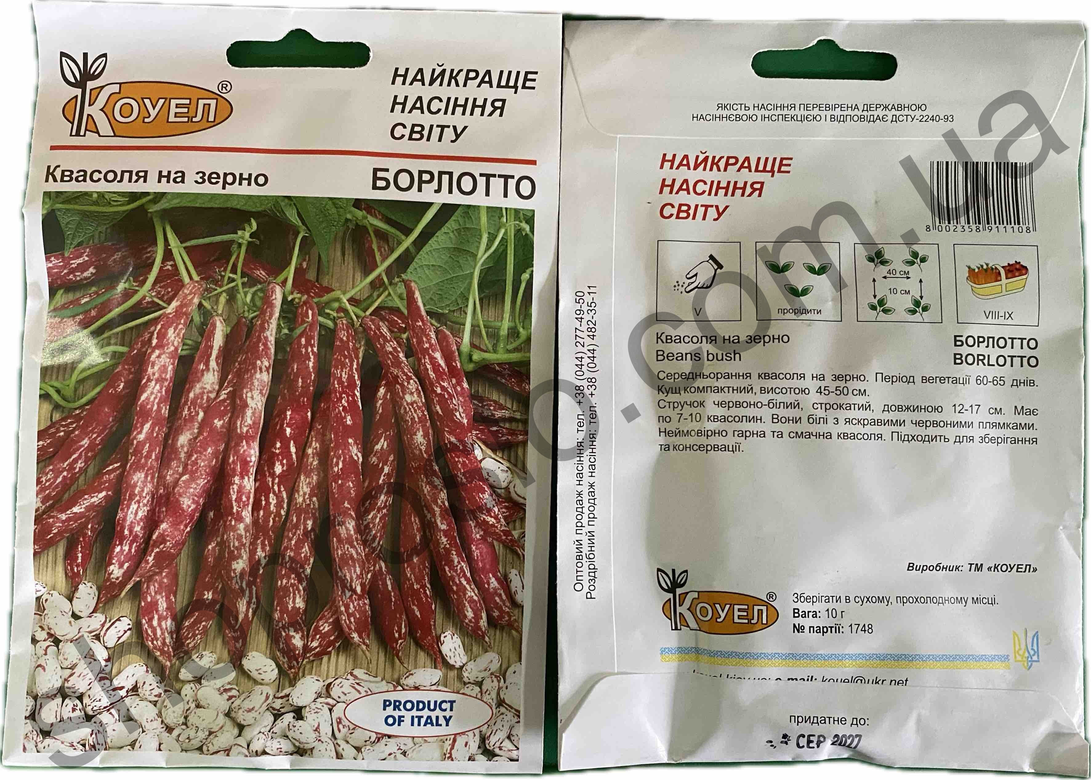 Семена фасоли Борлото, средний кустовой сорт Коуэл (Италия), 10 г