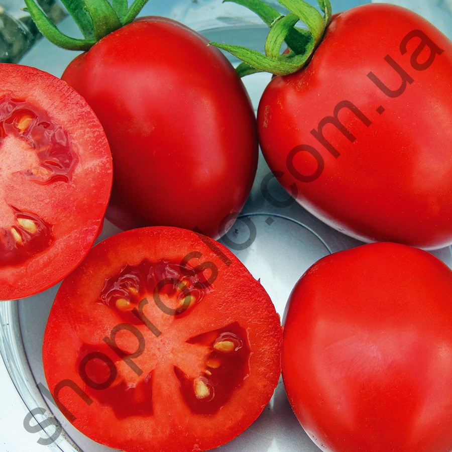 Насіння томату Чезена F1, ранній гібрід."Libra Seeds" (Італія), 1 000 шт
