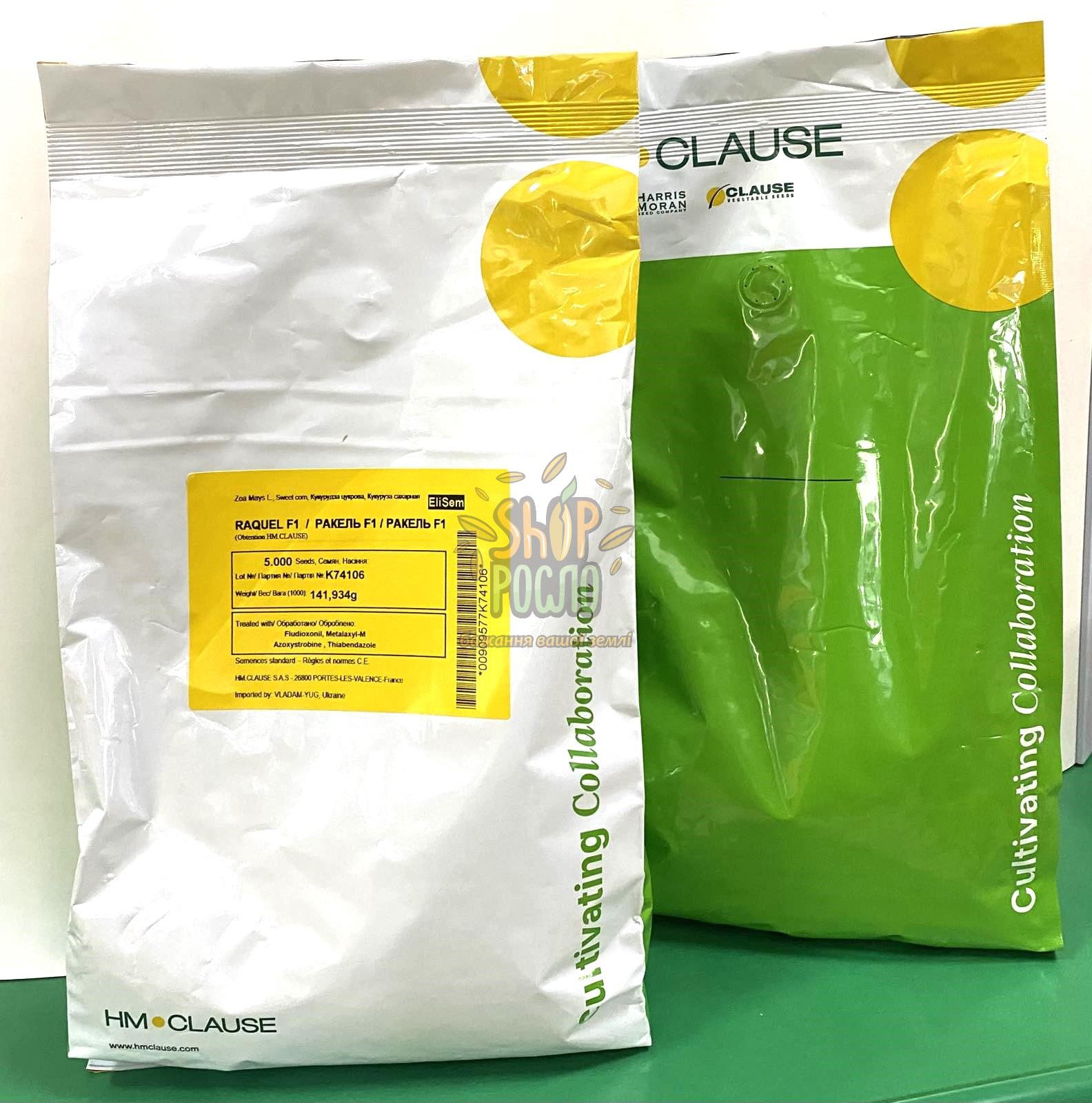 Насіння кукурудзи Ракель F1, ранній суперсолодкий гібрид, "Clause" (Франція), 5 000 шт