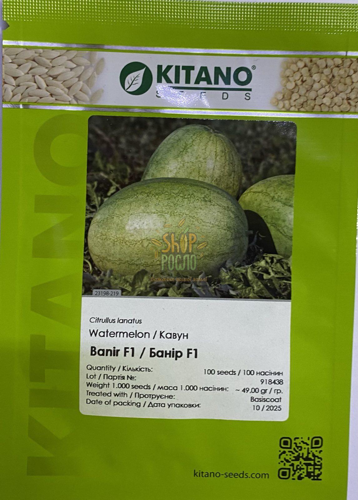 Насіння кавуна Банір F1 (КС 1819 F1), ранній гібрид "Kitano Seeds" (Японія), 100 шт