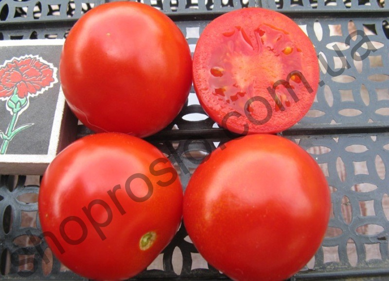 Семена томата Солероссо, детерминантный, ультраранний гибрид, "Nunhems Bayer"  (Голландия), 25 000 шт (драже)