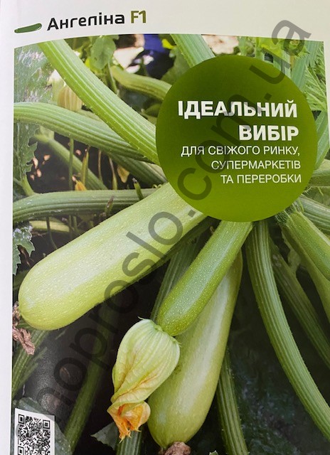 Семена кабачка  Ангелина  F1, ранний гибрид, Syngenta (Швейцария), 500 шт