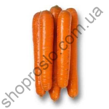 Семена моркови Джерада F1, ранний гибрид, 25 000шт, "Rijk Zwaan" (Голландия), 100 000 шт (1,6-1,8)