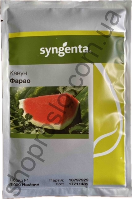 Семена арбуза Фарао F1, среднеспелый гибрид,  "Syngenta" (Швейцария), 1 000 шт