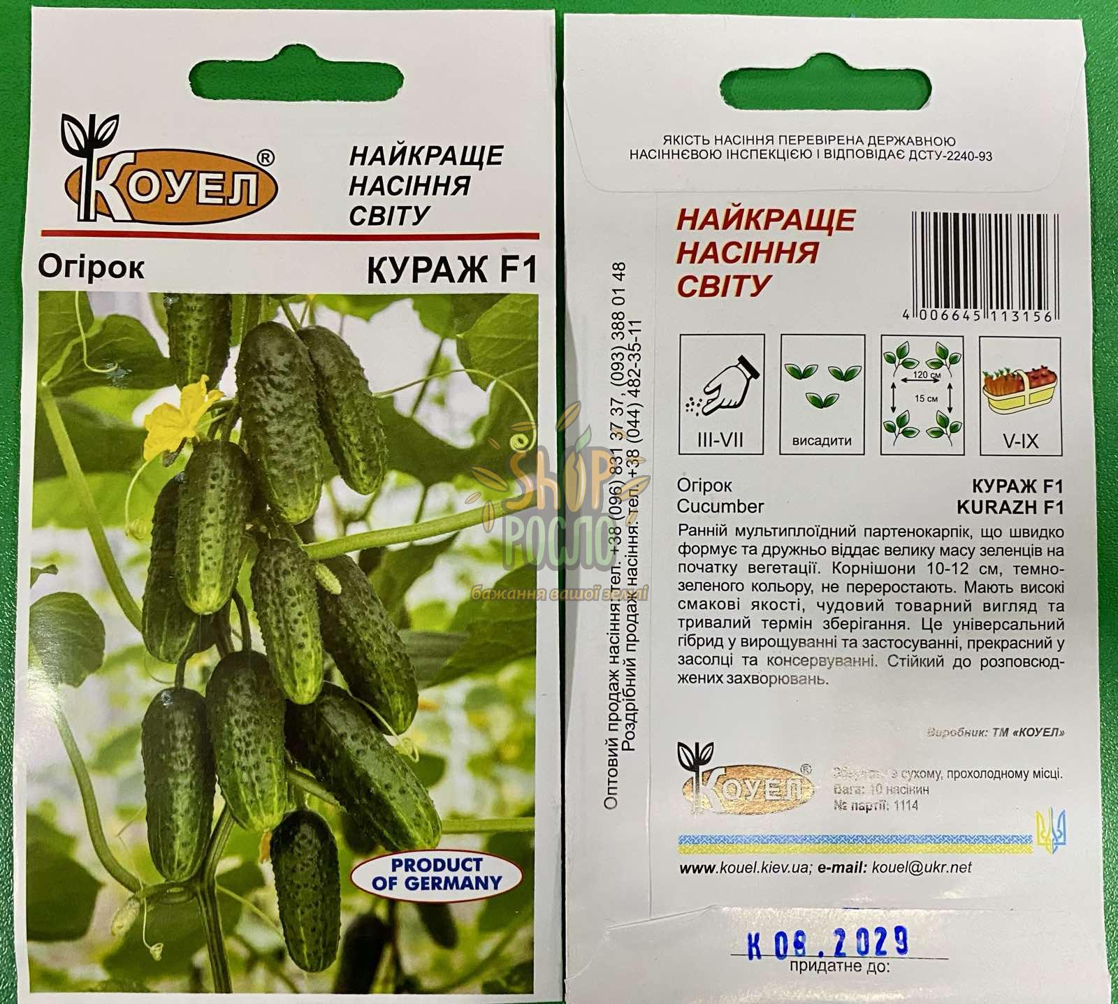 Насіння огірка Кураж F1, ранній партенокарпічний гібрид, Коуел (Німеччина), 10 шт