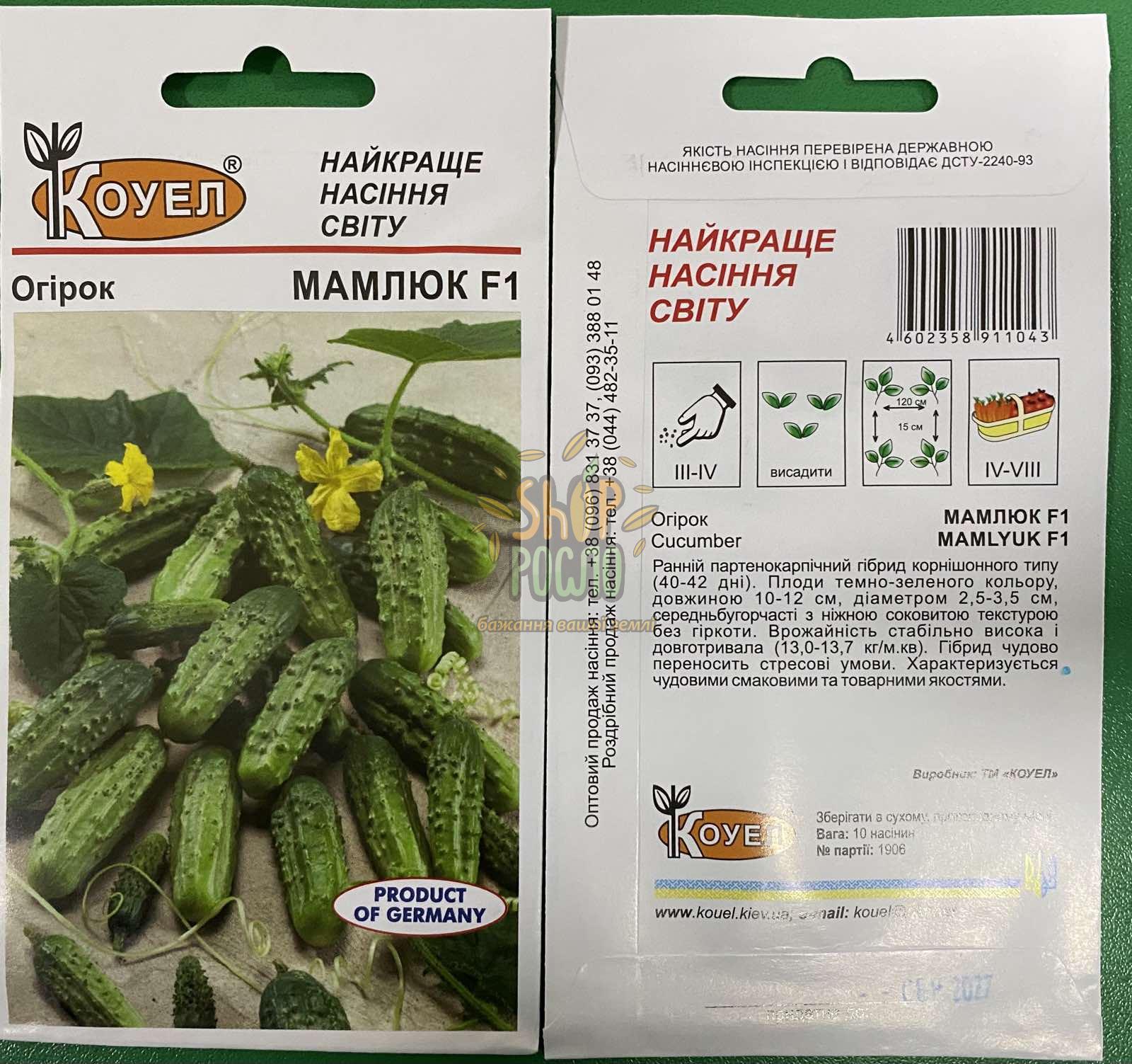 Насіння огірка Мамлюк F1, ранній партенокарпічний гібрид,Коуел (німеччина), 10 шт