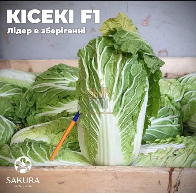 Капуста пекинская Кисеки F1, среднеспелый гибрид, Sakata (Япония), 1000 шт