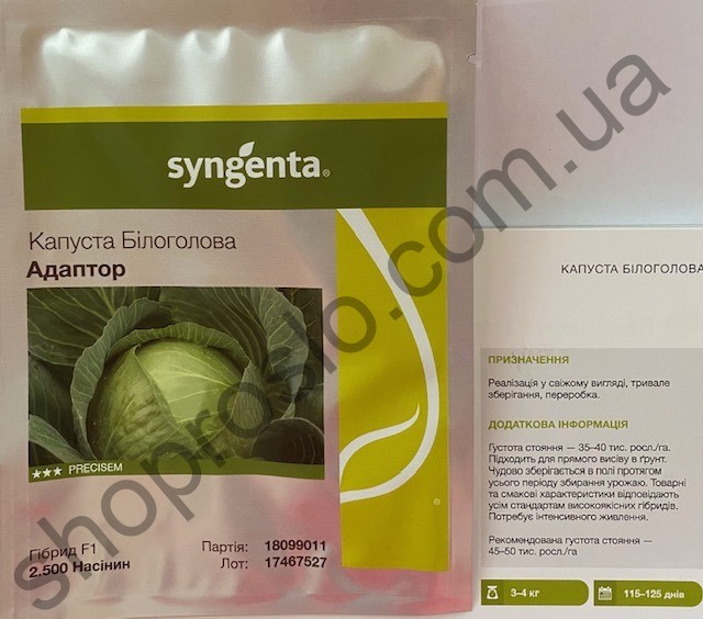Семена капусты белокочанной Адаптор F1, поздний гибрид,  "Syngenta" (Швейцария), 2 500 шт