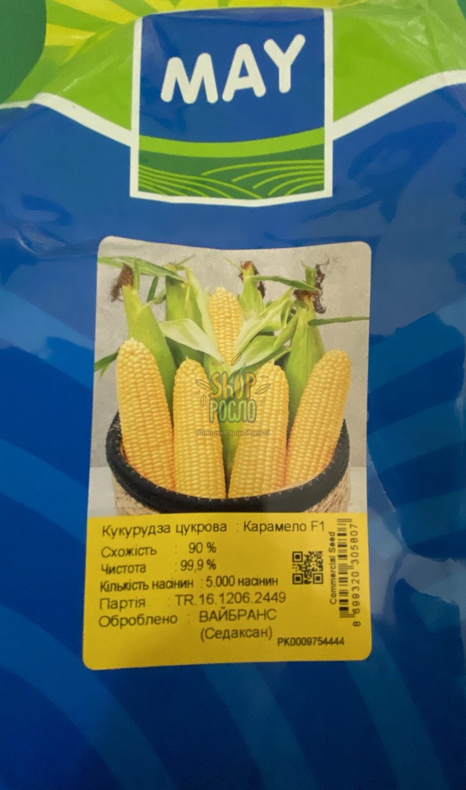 Семена кукурузы Карамелло F1, ранний гибрид, суперсладкая, "May Seeds" (Турция), 5 000 шт