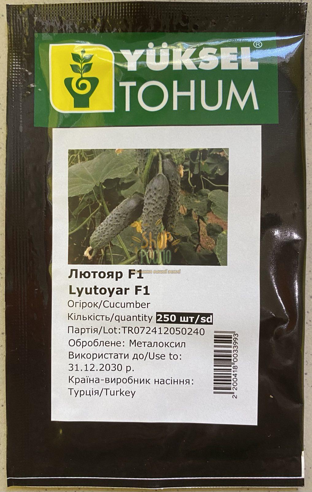 Огірок Лютояр F1, ранній  гібрид, партенокарпічний, Yuksel Tohum (Туреччина), 250 шт