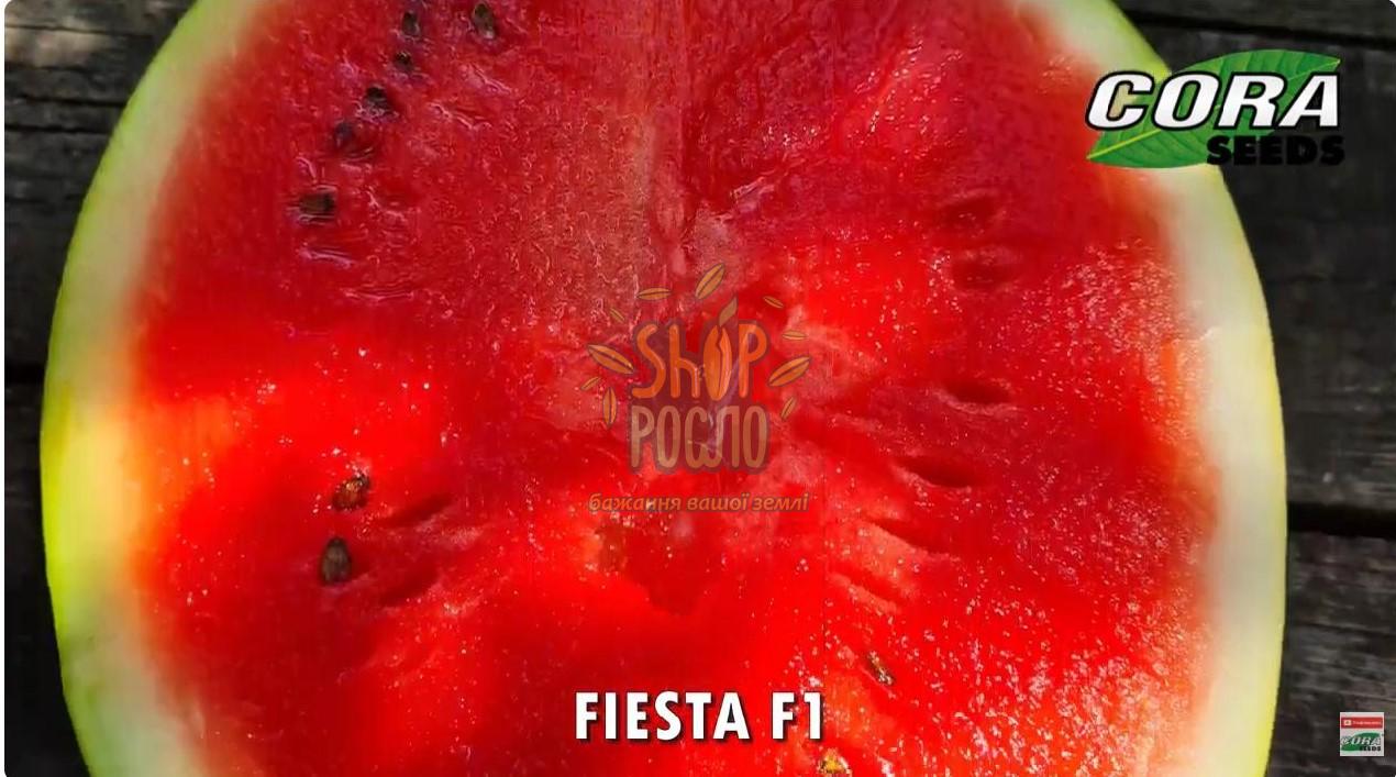 Насіння кавуна  Фиеста F1 (CRX 10491 F1), надранній гібрид, "Cora Seeds" (Італія), 1 000 шт