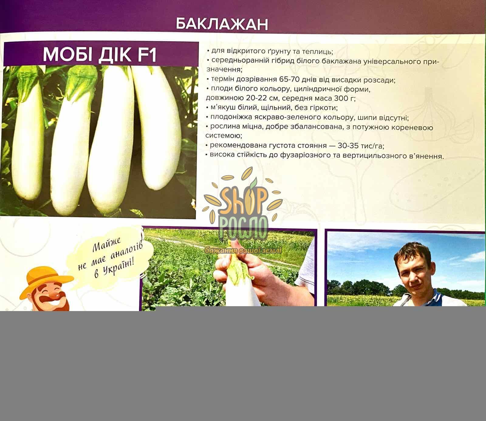 Насіння баклажану Мобі Дік F1, ранний білий гібрид, Libra Seeds (Італія), 250 шт