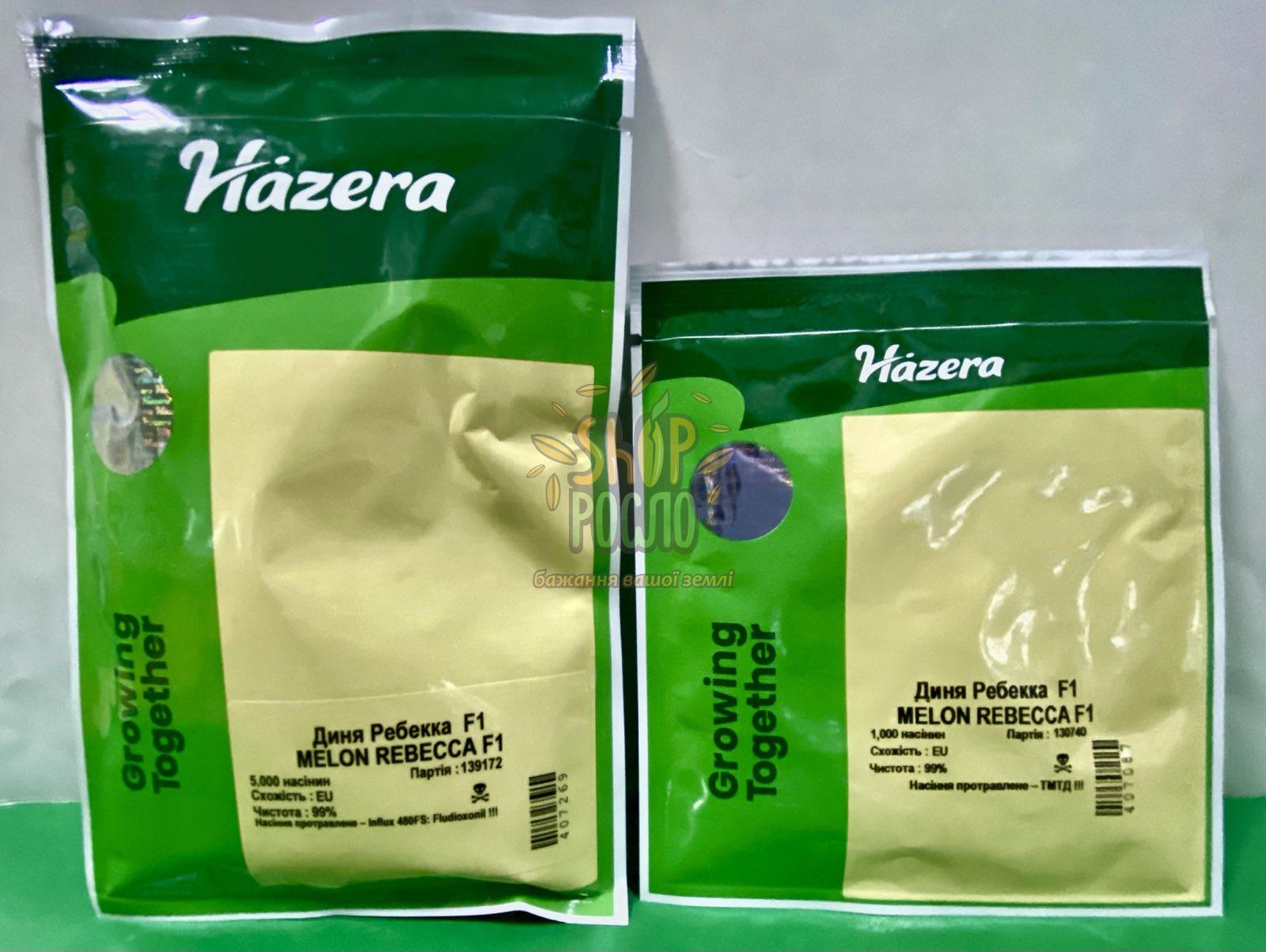 Насіння дині Ребекка F1,середньоранній гібрид, тип Ананас, "Hazera" (Ізраїль), 5 000 шт