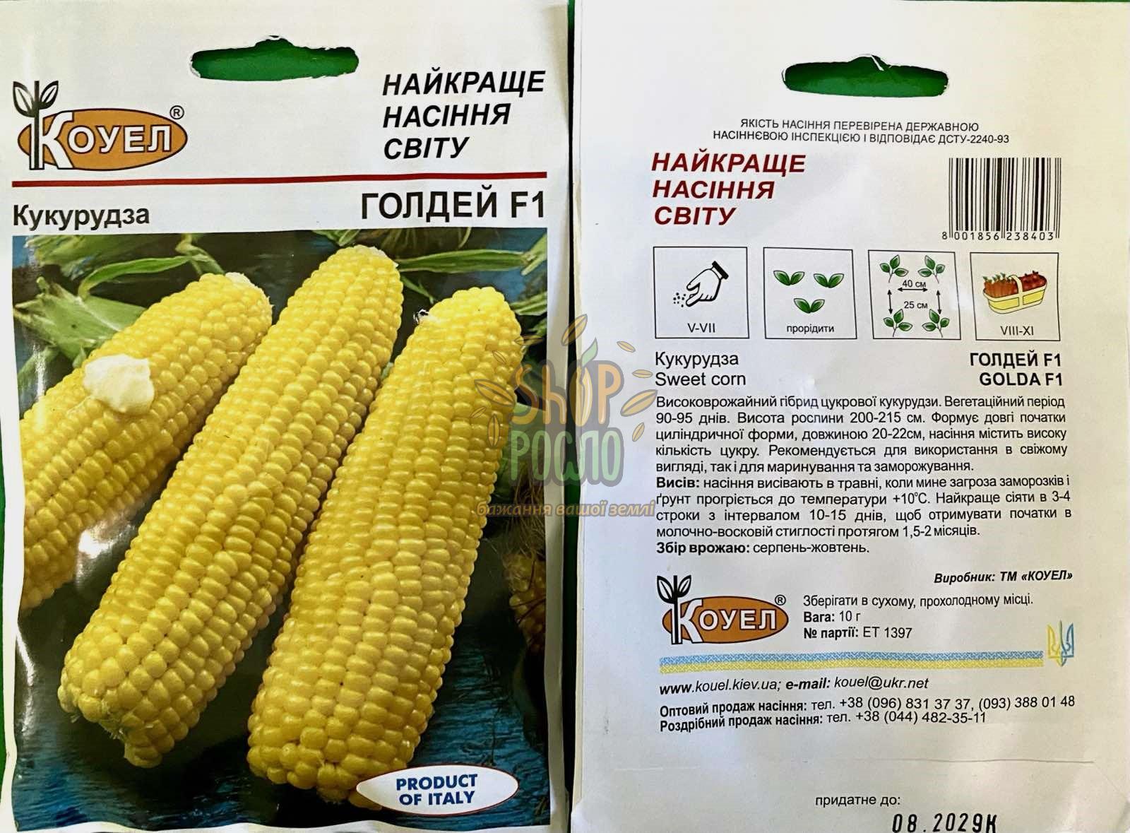 Кукуруза Голдей F1, ранній суперсолодкий гібрид, Коуел (Італія), 11 г