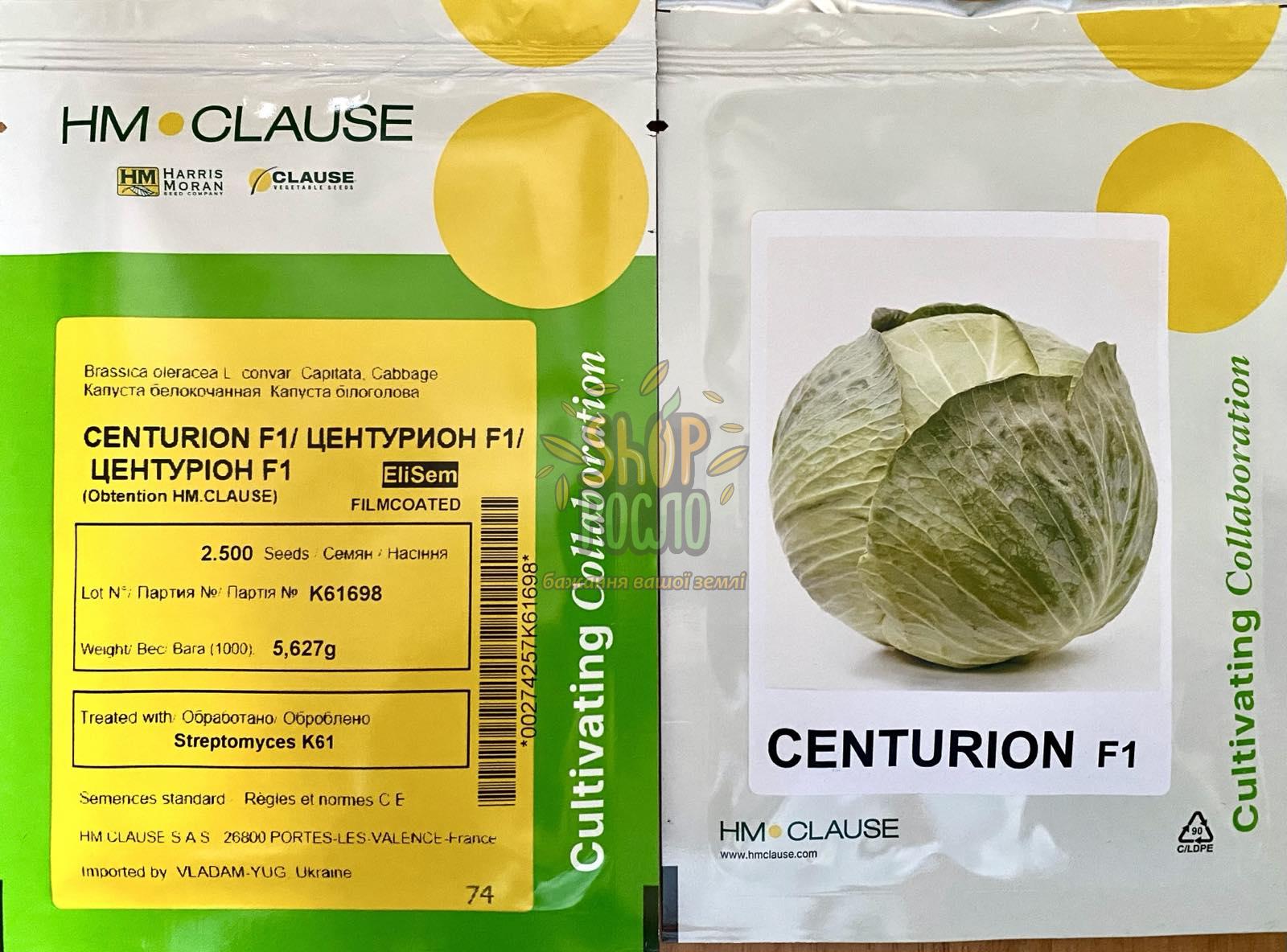 Семена капусты белокочанной Центурион F1, среднепоздний гибрид,  "Clause" (Франция), 2 500 шт