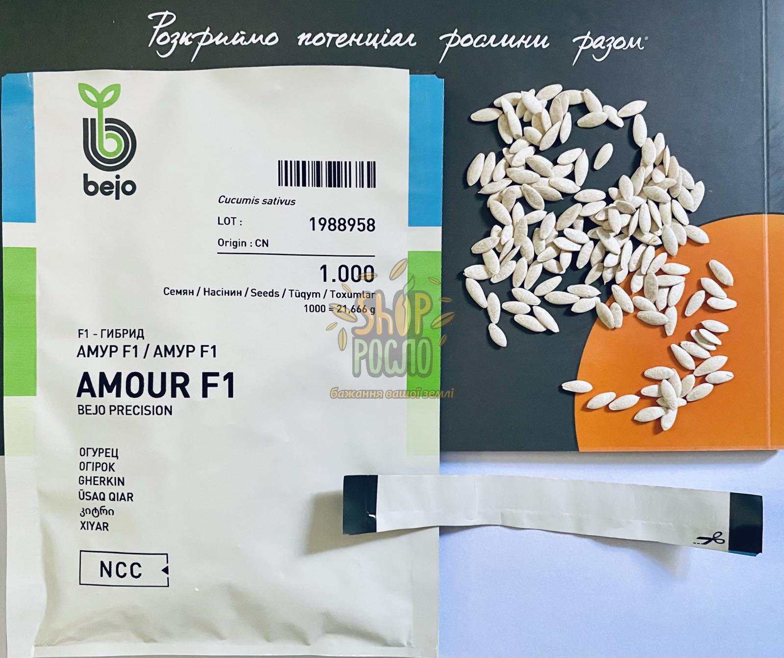 Насіння огірка Амур F1, ранній гібрид, партенокарпічний, "Bejo" (Голландія), 100 шт (Фас)