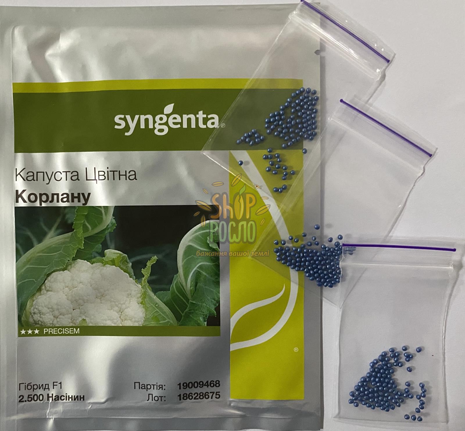 Насіння капусти цвітної  Корлану F1, середньоранній гібрид, "Syngenta" (Швейцарія), 100 шт (Фас.)