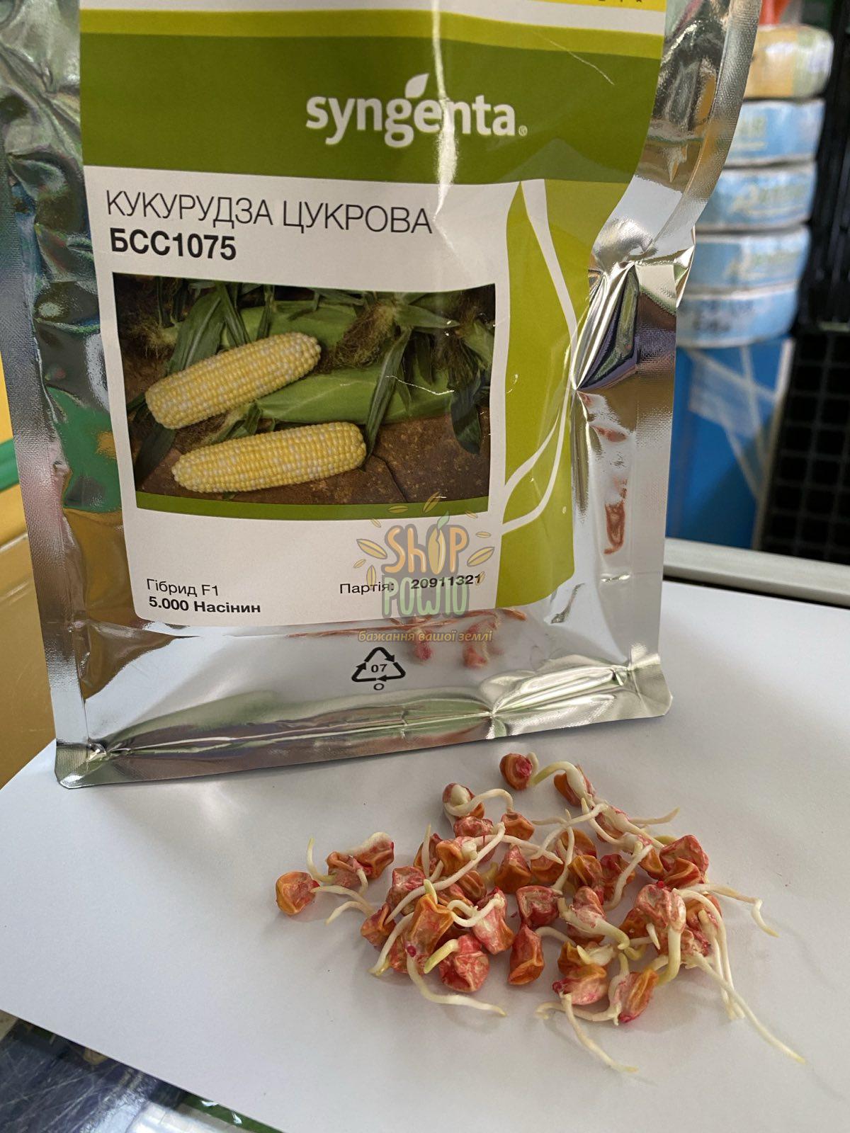 Насіння кукурудзи  БСС 1075 F1, BSS 1075 F1, ранній суперсолодкий гібрид, Syngenta (Швейцарія), 5 000 шт