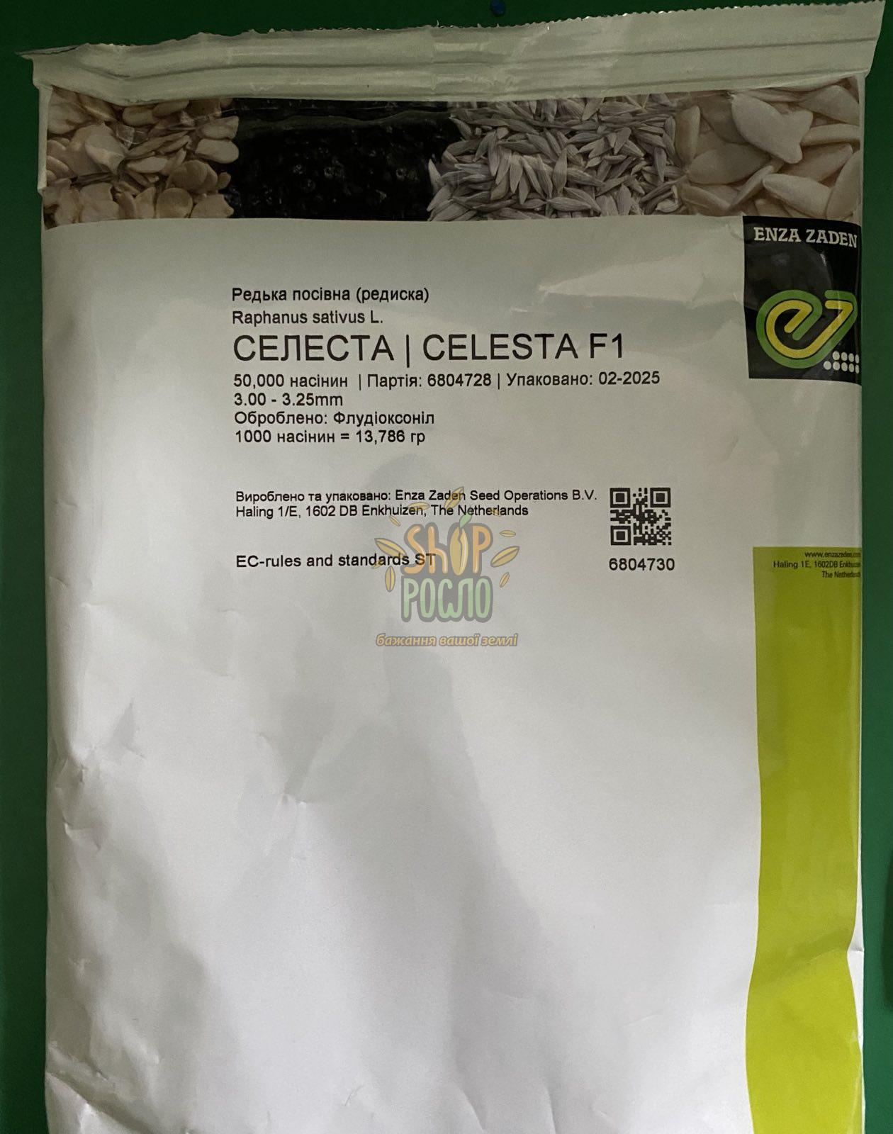 Семена редиса Селеста F1, ранний гибрид, "Enza Zaden" (Голландия), 50 000 шт (3,0-3,25)