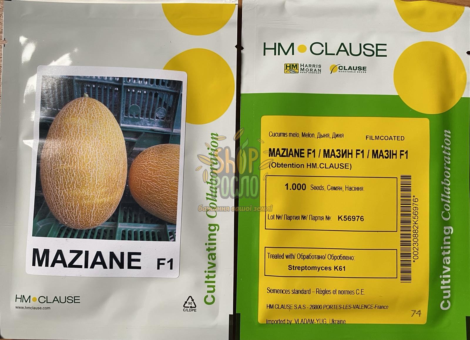 Семена дыни Мазин F1, ранний гибрид, "Clause" (Франция), 5 000 шт