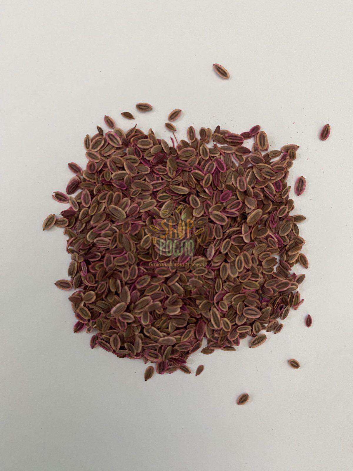Семена укропа Дилл Дарк, кустовой сорт,  "Sais" (Италия), 100 г (Фас.)