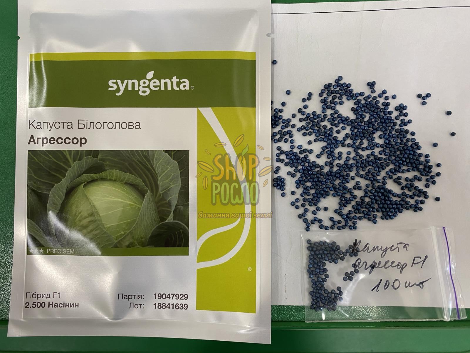 Семена капусты белокочанной Агрессор F1,   "Syngenta" (Швейцария), 100 шт