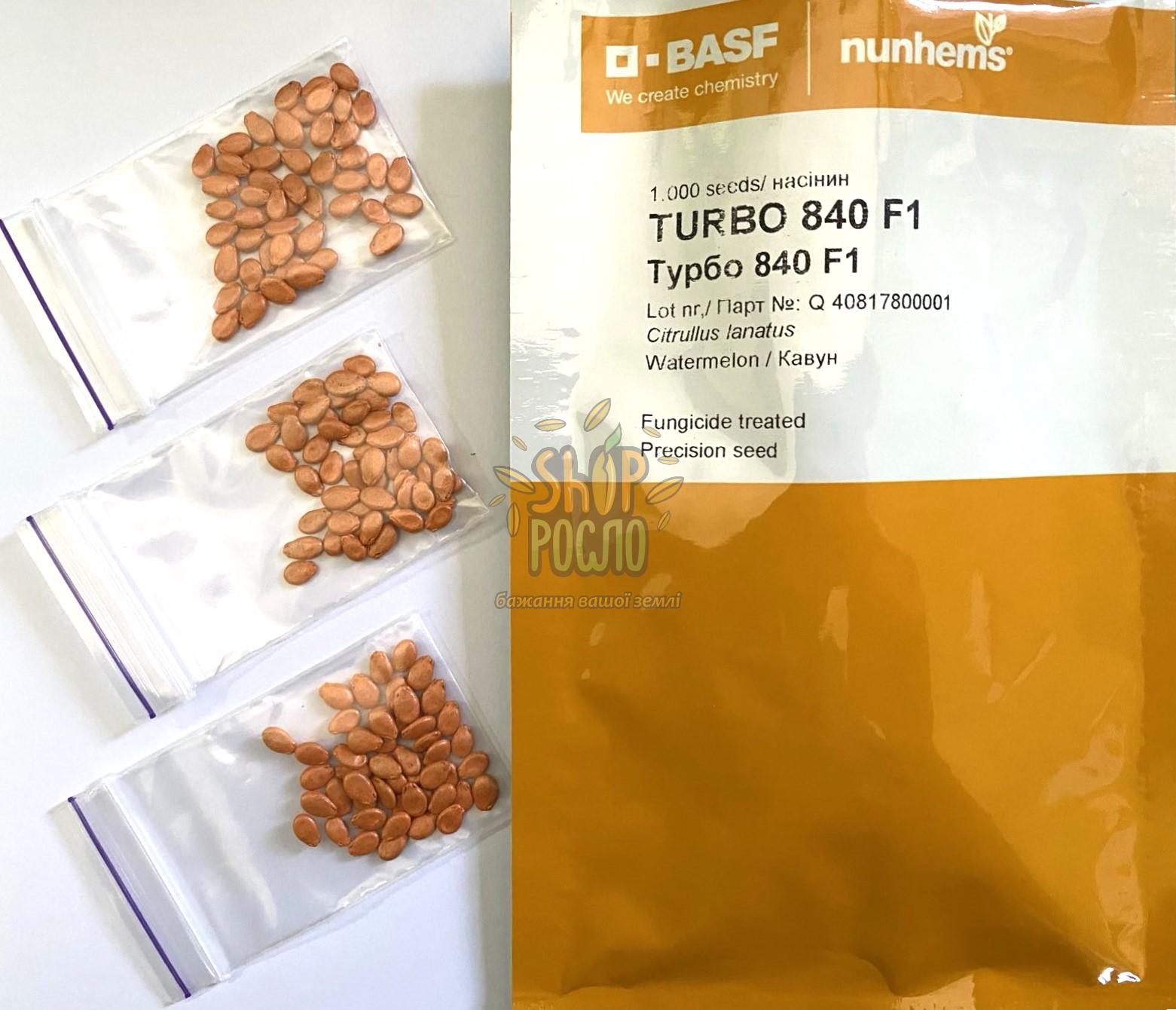 Насіння кавуна Турбо 840  F1, ранній видовжений гібрид, "Nunhem Bayer" (Голандія), 50 шт (Фас)