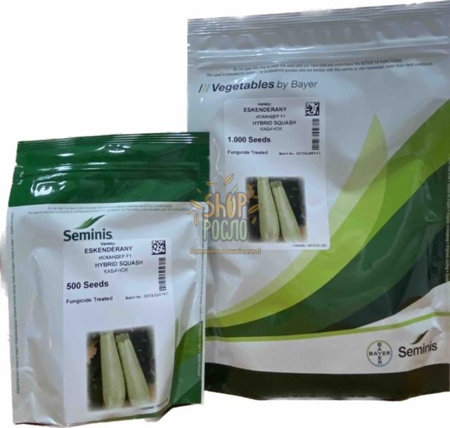 Насіння кабачка  Іскандер F1, надранній гібрид, "Seminis" (Голландія), 1 000 шт