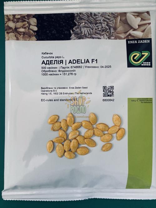 Семена кабачка Аделия F1, ранний гибрид, "Enza Zaden" (Голландия), 100 шт (Фас)