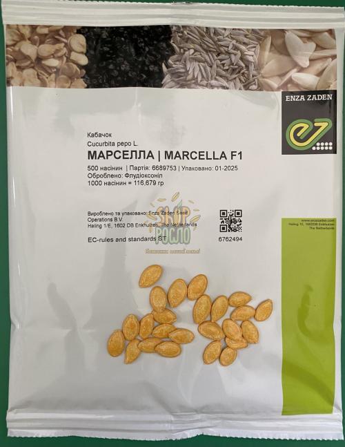 Семена кабачка Марселла F1, ультраранний гибрид, "Enza Zaden" (Голландия), 500 шт