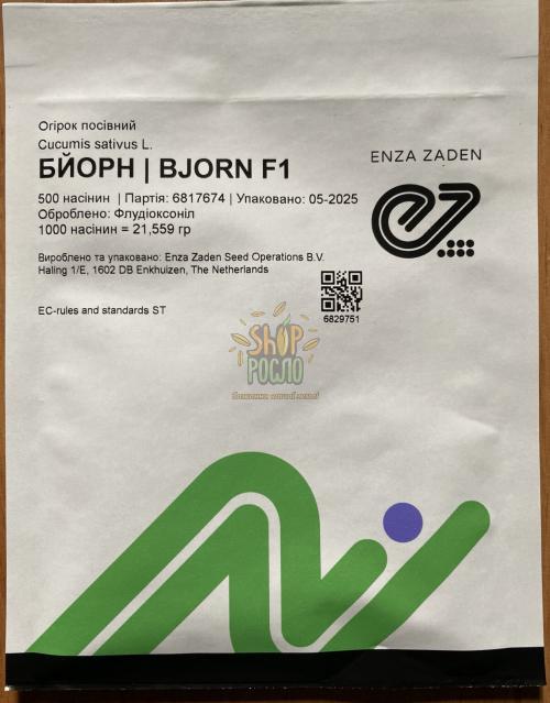 Насіння огірка Бйорн F1, ранній партенокарпічний гібрид,"Enza Zaden" (Голландія), 20 шт (Фас)