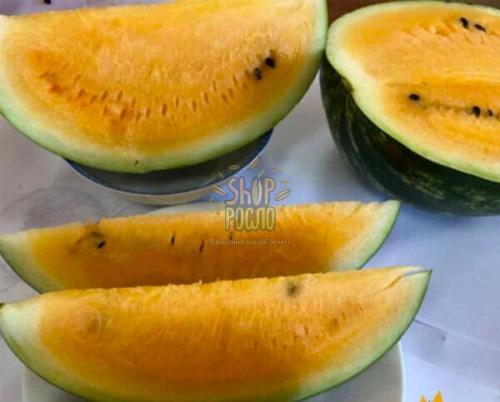 Насіння кавуна Оранж Лакшері F1, ранній, жовтий гібрид "Lark Seeds" (США), 500 шт