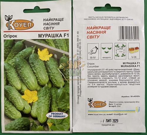 Насіння огірка  Мурашка F1, ранній партенокарпічний гібрид, Коуел (Німеччина), 10 шт