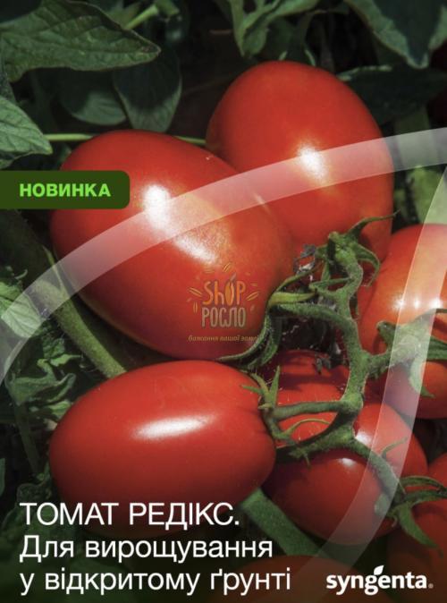 Семена томата Редикс F1, кустовой ранний гибрид, Syngenta (Швейцария), 2 500 шт
