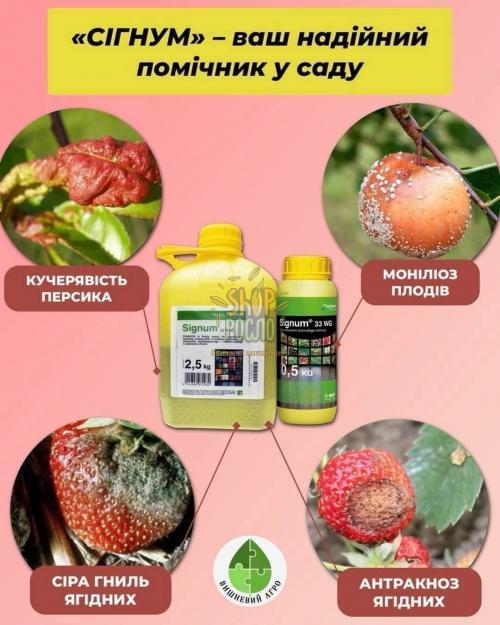 Фунгіцид Сігнум, "BASF" (Німеччина), 1 кг