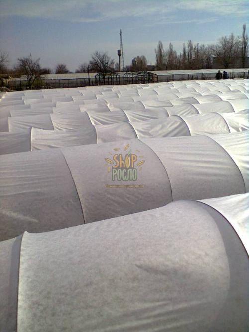 Агроволокно біле, щільність 30 г/м2, ширина 9,5 м. "Greentex" (Польща), 100 м